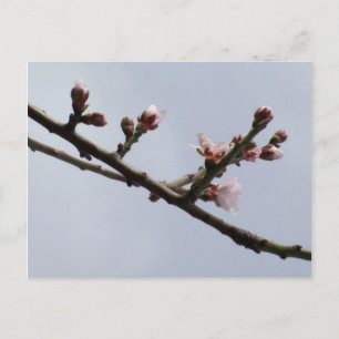 Frühjahrspostkarte Postkarte