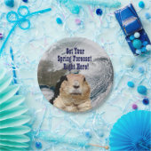 Frühjahrsprognose für die Groundhog Pappteller (Party)