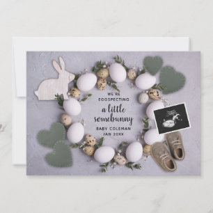 Frühjahrsprognose Osterschwangerschaft Reveal Baby Ankündigung