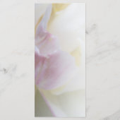 Frühjahrsprogramm der Blume "Rosa und Weiße Tulip" Programm (Rückseite)