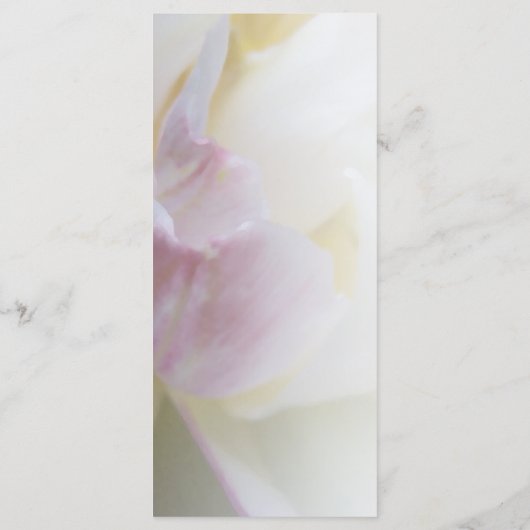 Frühjahrsprogramm der Blume "Rosa und Weiße Tulip" Programm (Rückseite)