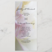 Frühjahrsprogramm der Blume "Rosa und Weiße Tulip" Programm (Vorderseite)