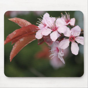 Frühjahrsrosa Pflaumenblüten Mousepad