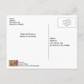 Frühjahrssaison Pinks Abstrakte Postkarte (Rückseite)