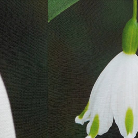 Frühjahrsschneeflocken-Blume-Hintergrundbild Tapete (Naht)