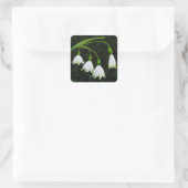 Frühjahrsschneeflocken-Blume Quadratischer Aufkleber (Tasche)