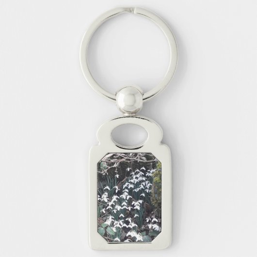 Frühjahrsschneekennring Schlüsselanhänger (Vorderseite)