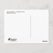 Frühjahrsschwärme in Banff Postkarte (Rückseite)