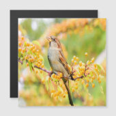 Frühjahrsspanner Magnetkarte (Vorne/Hinten)