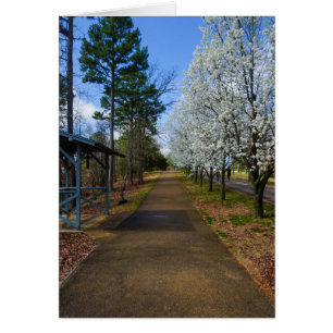 Frühjahrsspaziergang