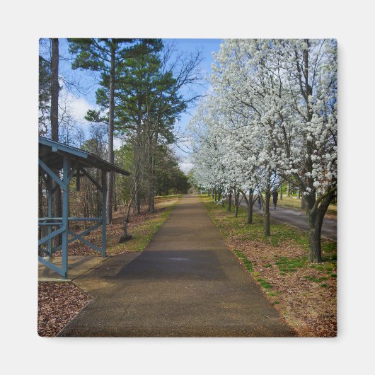 Frühjahrsspaziergang Magnet (Vorne)