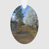Frühjahrsspaziergang Ornament (Vorderseite)