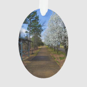 Frühjahrsspaziergang Ornament