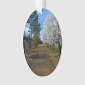 Frühjahrsspaziergang Ornament (Vorderseite)