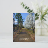 Frühjahrsspaziergang Postkarte (Stehend Vorderseite)