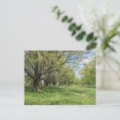 Frühjahrsspaziergang Postkarte (Stehend Vorderseite)