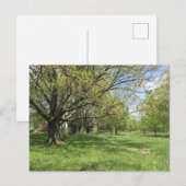 Frühjahrsspaziergang Postkarte (Vorne/Hinten)