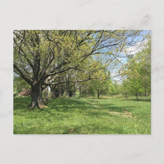 Frühjahrsspaziergang Postkarte (Vorderseite)