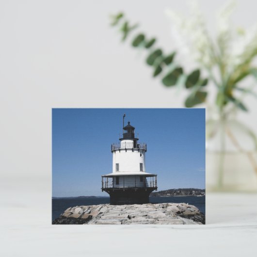 Frühjahrsspitze (06) 4x6 postkarte (Stehend Vorderseite)