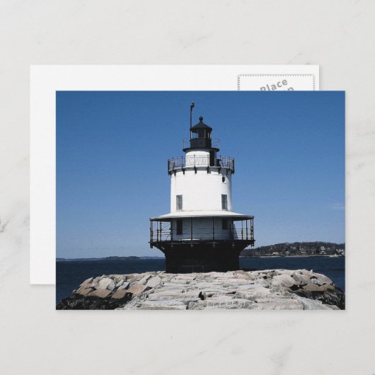 Frühjahrsspitze (06) 4x6 postkarte (Vorne/Hinten)