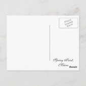 Frühjahrsspitze (06) 4x6 postkarte (Rückseite)