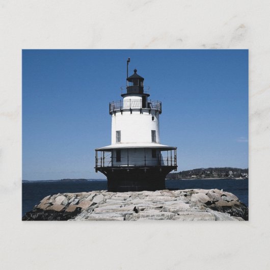 Frühjahrsspitze (06) 4x6 postkarte (Vorderseite)