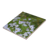 Frühjahrsstarblume Fliese (Seite)