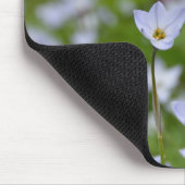 Frühjahrsstarblume Mousepad (Ecke)
