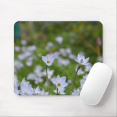 Frühjahrsstarblume Mousepad (Mit Mouse)