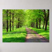 Frühjahrsstraße Poster (Vorne)