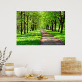 Frühjahrsstraße Poster (Küche)