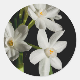 Frühjahrsveranstaltung der White Blume und Hochzei Runder Aufkleber
