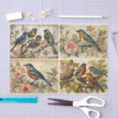 Frühjahrsvögel Seidenpapier (Handwerk)