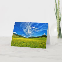 Frühjahrswiese und blauer Himmel