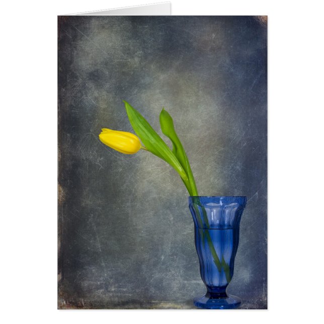 Frühjahrszeichen (Vorne)