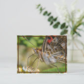 Frühjahrszeit Postkarte (Stehend Vorderseite)