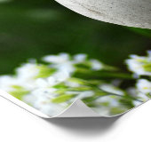 FrühjahrsZen Poster (Ecke)