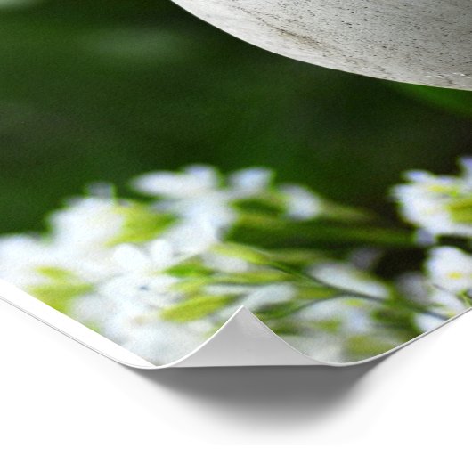 FrühjahrsZen Poster (Ecke)