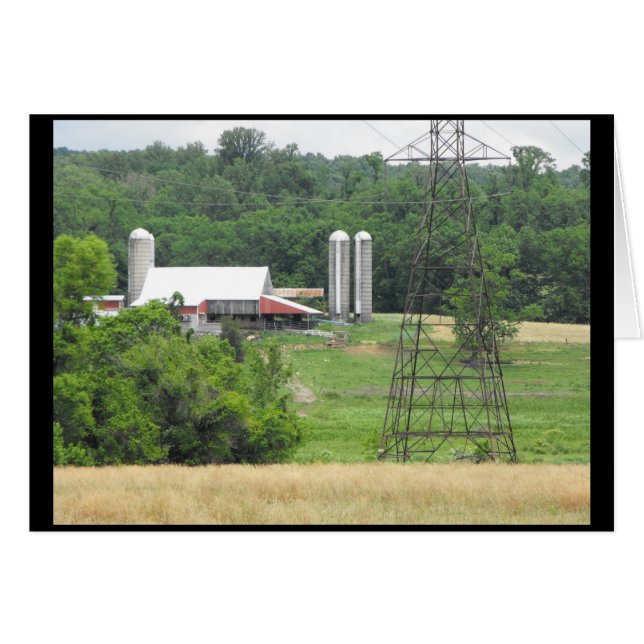 Frühling 40 (Vorderseite (Horizontal))