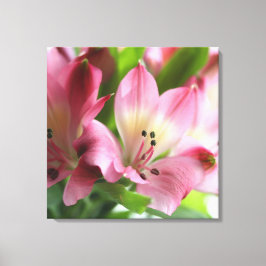 Frühling Alstro Stretched Canvas Print Leinwanddruck