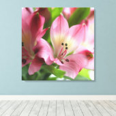 Frühling Alstro Stretched Canvas Print Leinwanddruck (Insitu (Holzboden))