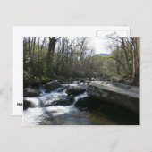 Frühling am Little Pigeon Postkarte (Vorne/Hinten)