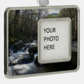 Frühling am Little Pigeon Rahmen-Ornament Silber (Rechts)