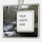 Frühling am Little Pigeon Rahmen-Ornament Silber (Links)