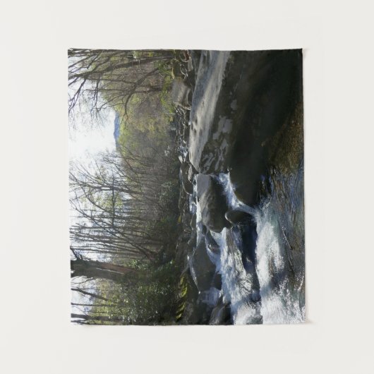 Frühling am Little Pigeon Wandteppich (Vorderseite)