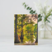 Frühling an der Bayou Postkarte (Stehend Vorderseite)