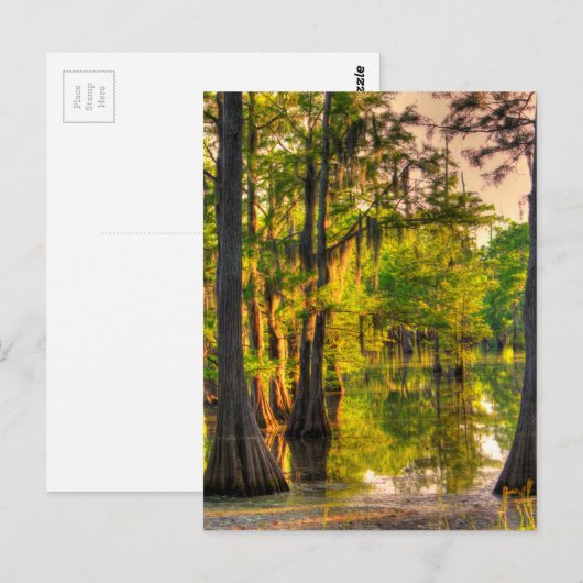 Frühling an der Bayou Postkarte (Vorne/Hinten)