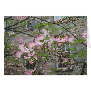 Frühling an Swarthmore Uni