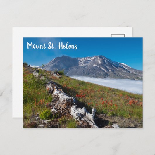 Frühling auf dem Berg St. Helens Postkarte (Vorne/Hinten)