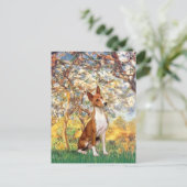 Frühling - Basenji Postkarte (Stehend Vorderseite)